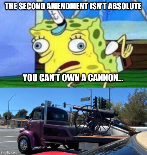 2A Truthbomb | THE SECOND AMENDMENT ISN’T ABSOLUTE; YOU CAN’T OWN A CANNON… | image tagged in spongebob stupid,2a,cannon | made w/ Imgflip meme maker