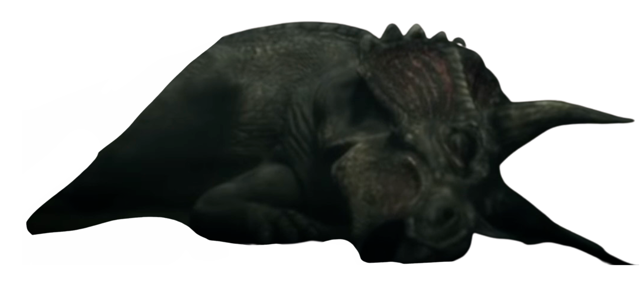 High Quality Dead Triceratops Blank Meme Template