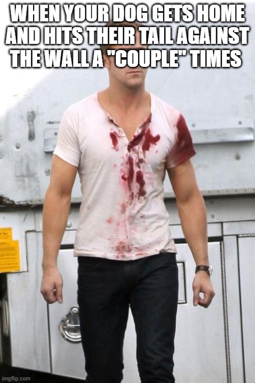 Ryan Gosling Bloody Shirt | WHEN YOUR DOG GETS HOME AND HITS THEIR TAIL AGAINST THE WALL A "COUPLE" TIMES | image tagged in ryan gosling bloody shirt | made w/ Imgflip meme maker
