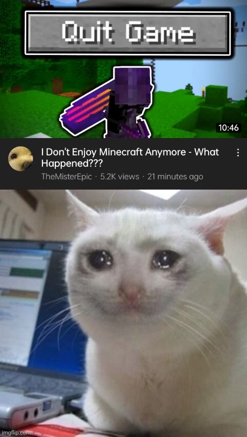 Imagine a popular creator quit Minecraft | image tagged in crying cat | made w/ Imgflip meme maker