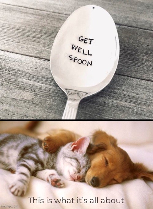 Get Well Spoons | This is what it’s all about | image tagged in funny memes,spoons,get well spoon,spooning | made w/ Imgflip meme maker