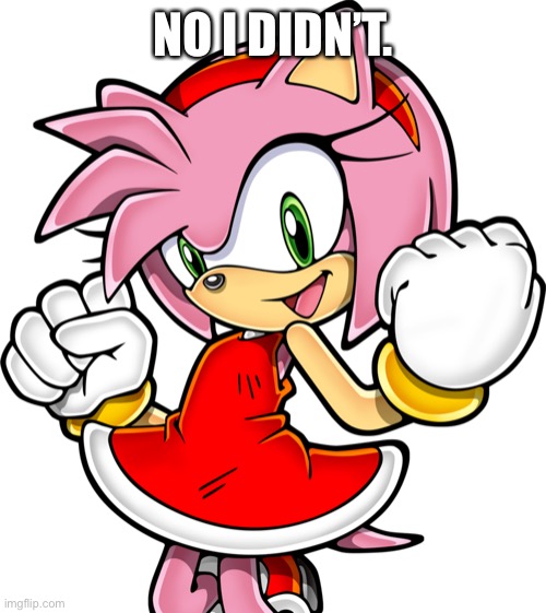 Amy Rose | NO I DIDN’T. | image tagged in amy rose | made w/ Imgflip meme maker