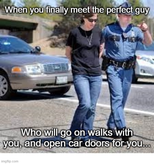 Chivalry Is Not Dead | When you finally meet the perfect guy; Who will go on walks with you, and open car doors for you... | image tagged in long walks,opens doors | made w/ Imgflip meme maker