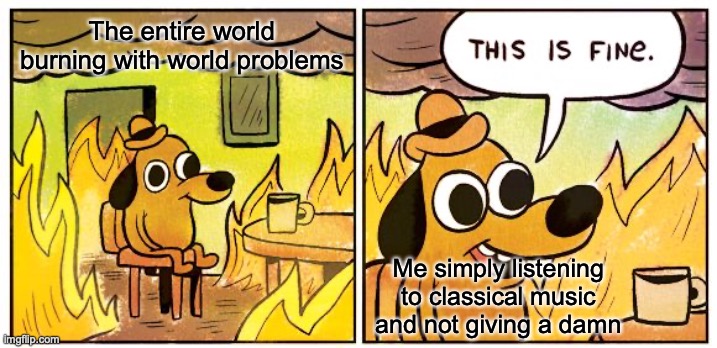 This Is Fine |  The entire world burning with world problems; Me simply listening to classical music and not giving a damn | image tagged in memes,this is fine | made w/ Imgflip meme maker