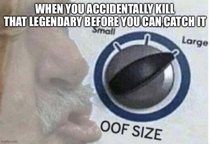 Sad moments | WHEN YOU ACCIDENTALLY KILL THAT LEGENDARY BEFORE YOU CAN CATCH IT | image tagged in oof size large,pokemon,legendary | made w/ Imgflip meme maker
