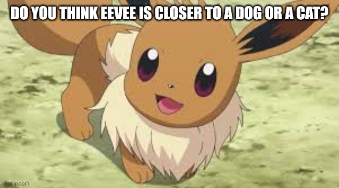 The ultimate question. | DO YOU THINK EEVEE IS CLOSER TO A DOG OR A CAT? | image tagged in eevee | made w/ Imgflip meme maker