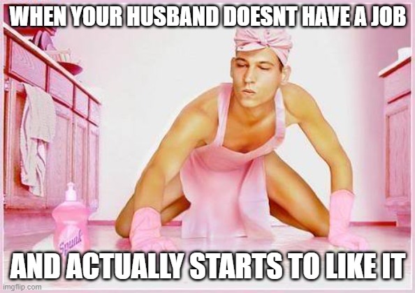 work from home | WHEN YOUR HUSBAND DOESNT HAVE A JOB; AND ACTUALLY STARTS TO LIKE IT | image tagged in new job,kitchen,stay home,meme man,housewife | made w/ Imgflip meme maker
