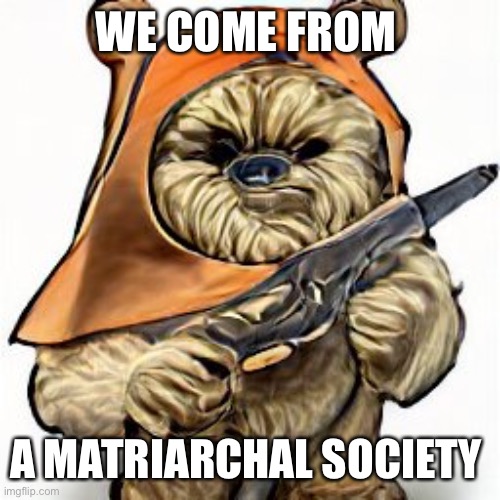 WE COME FROM; A MATRIARCHAL SOCIETY | made w/ Imgflip meme maker