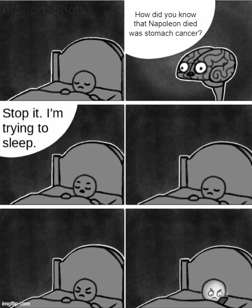 How was dead for you? | How did you know that Napoleon died was stomach cancer? | image tagged in stop it i'm trying to sleep,memes | made w/ Imgflip meme maker