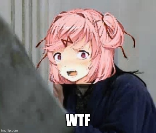 WTF | made w/ Imgflip meme maker