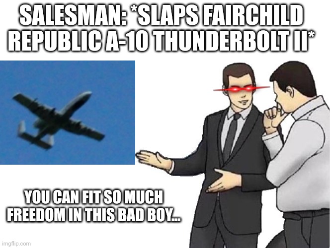 A-10 salesman |  SALESMAN: *SLAPS FAIRCHILD REPUBLIC A-10 THUNDERBOLT II*; YOU CAN FIT SO MUCH FREEDOM IN THIS BAD BOY... | image tagged in memes,car salesman slaps hood | made w/ Imgflip meme maker