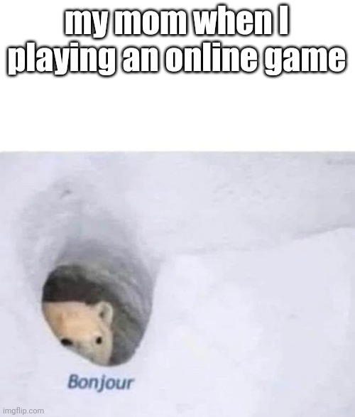 Bonjour | my mom when I playing an online game | image tagged in bonjour,memes | made w/ Imgflip meme maker