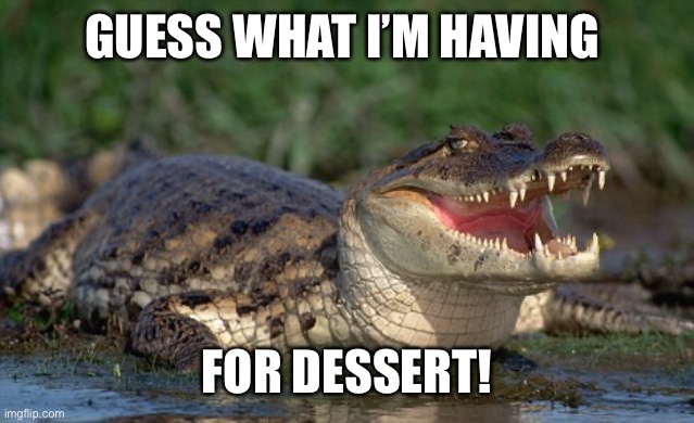 Alligator | GUESS WHAT I’M HAVING FOR DESSERT! | image tagged in alligator | made w/ Imgflip meme maker