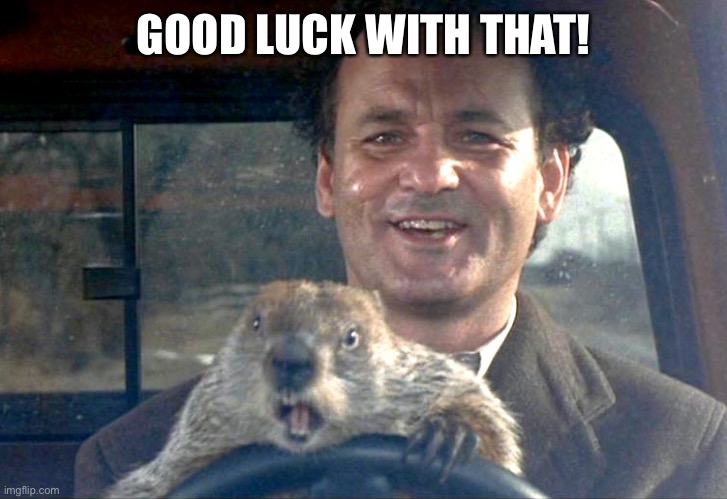 Ground Hog Day Bill Murray | GOOD LUCK WITH THAT! | image tagged in ground hog day bill murray | made w/ Imgflip meme maker