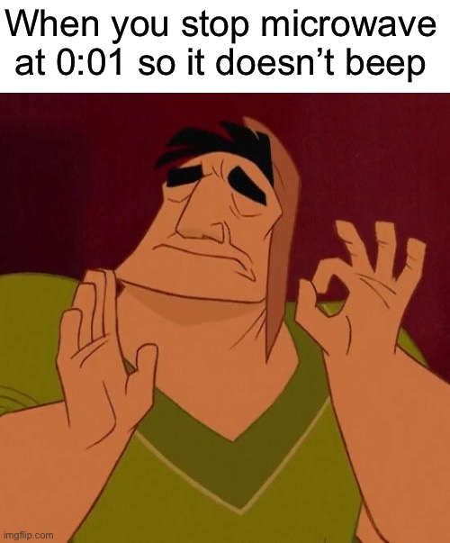 This is amazing :)) | When you stop microwave at 0:01 so it doesn’t beep | image tagged in blank white template,when x just right | made w/ Imgflip meme maker