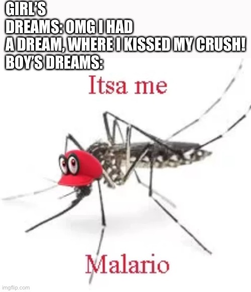 Boys dreams |  GIRL’S DREAMS: OMG I HAD A DREAM, WHERE I KISSED MY CRUSH!

BOY’S DREAMS: | image tagged in malario | made w/ Imgflip meme maker