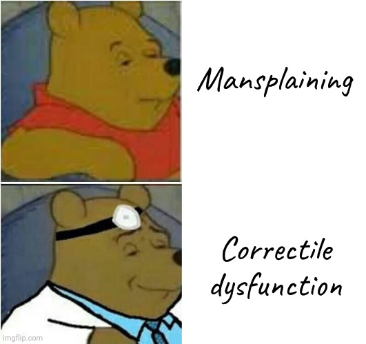 Listen to women...for a change. | Mansplaining; Correctile dysfunction | image tagged in pooh,misogyny,talking to wall,sexism,disrespect | made w/ Imgflip meme maker