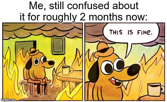 This Is Fine Meme | Me, still confused about it for roughly 2 months now: | image tagged in memes,this is fine | made w/ Imgflip meme maker
