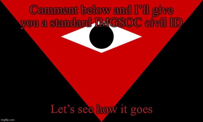 IMGSOC Flag | Comment below and I’ll give you a standard IMGSOC civil ID; Let’s see how it goes | image tagged in imgsoc flag | made w/ Imgflip meme maker