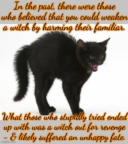 Thou shalt be repaid tenfold for what thou hast done to my snuggly-wuggly! | In the past, there were those who believed that you could weaken a witch by harming their familiar. What those who stupidly tried ended
up with was a witch out for revenge
- & likely suffered an unhappy fate. | image tagged in black cat,the avengers,animal rights,pagan | made w/ Imgflip meme maker