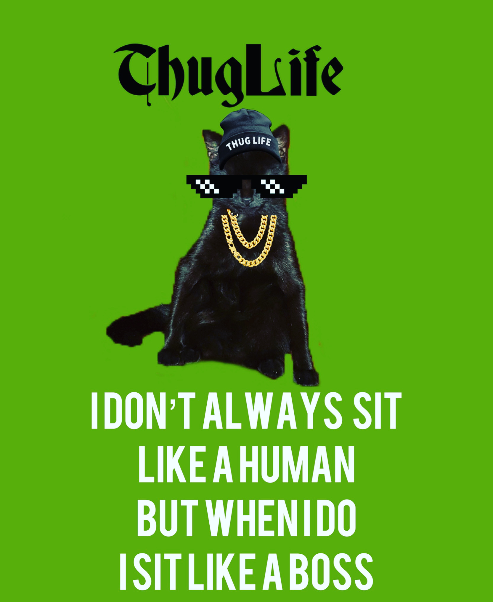 Diana Blank Meme Template