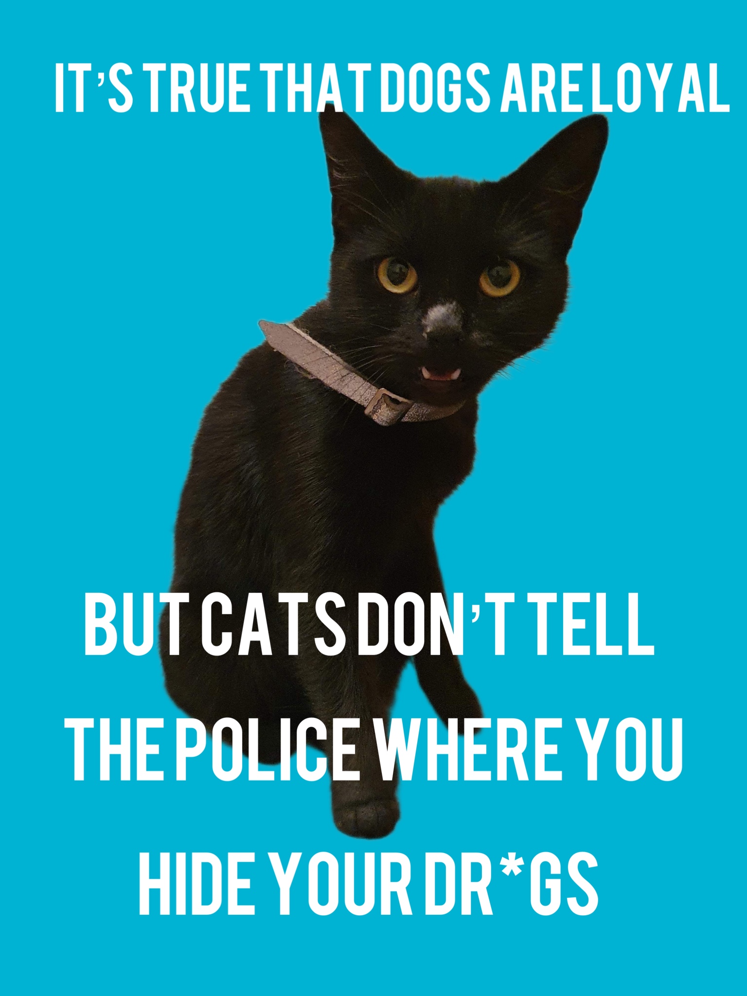 Diana Blank Meme Template