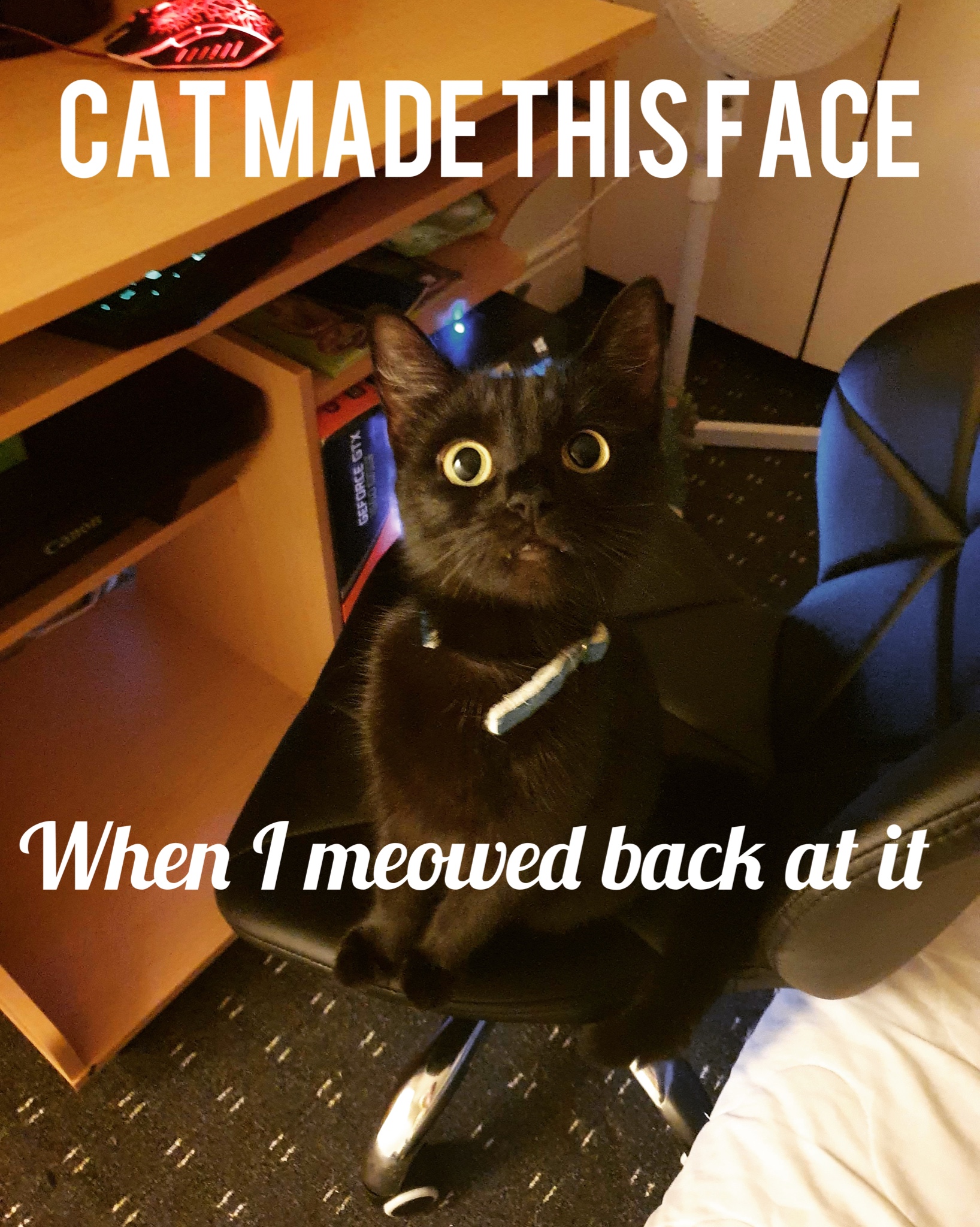 Diana Blank Meme Template