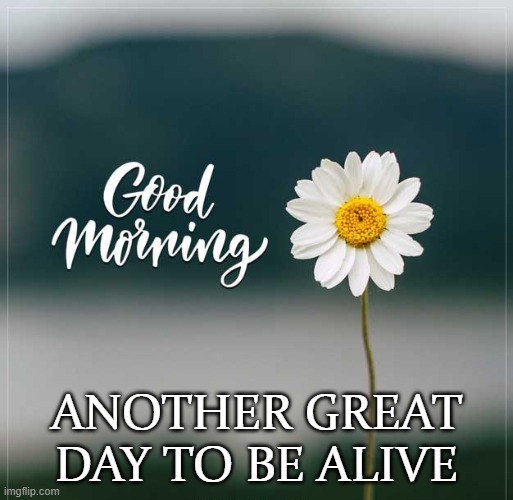 good morning! | ANOTHER GREAT DAY TO BE ALIVE | made w/ Imgflip meme maker