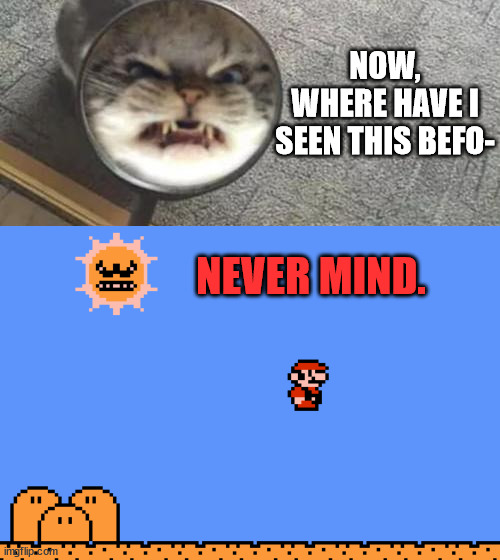 Super Mario Cat |  NOW,
WHERE HAVE I SEEN THIS BEFO-; NEVER MIND. | image tagged in super mario bros,super mario 3,heat wave,sun,funny animals,cute cat | made w/ Imgflip meme maker