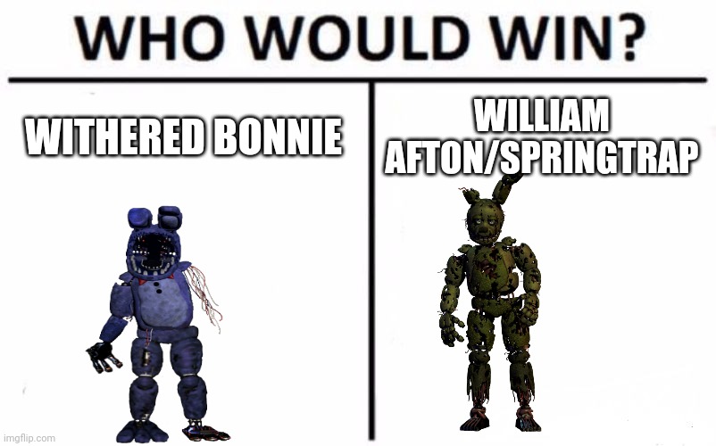 Bunnie Fight | WITHERED BONNIE; WILLIAM AFTON/SPRINGTRAP | image tagged in memes,who would win | made w/ Imgflip meme maker