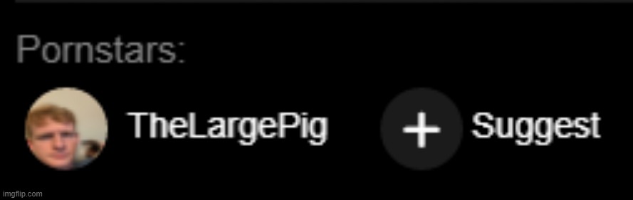THELARGEPIG ON PHUB????? | image tagged in thelargepig on phub | made w/ Imgflip meme maker