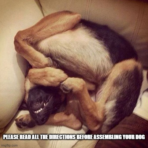 Please read the directions | PLEASE READ ALL THE DIRECTIONS BEFORE ASSEMBLING YOUR DOG | image tagged in dog assembly | made w/ Imgflip meme maker