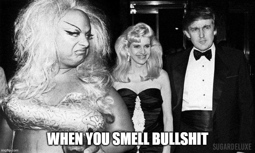 When you smell bullshit | WHEN YOU SMELL BULLSHIT | image tagged in divine,funny,politics,donald trump,ivanka,studio 54 | made w/ Imgflip meme maker