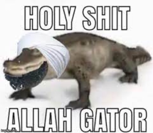 allah gator | image tagged in memes,shitpost,unfunny,msmg,oh wow are you actually reading these tags | made w/ Imgflip meme maker