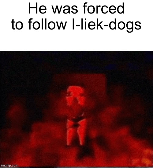 He was forced to X | He was forced to follow I-liek-dogs | image tagged in he was forced to x | made w/ Imgflip meme maker