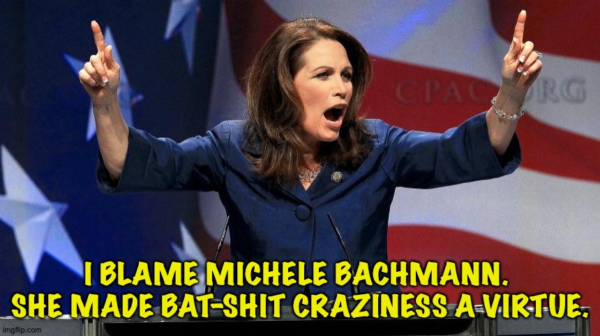 Representative Michele Bachmann - Bat Shit Crazy | I BLAME MICHELE BACHMANN.  SHE MADE BAT-SHIT CRAZINESS A VIRTUE. | image tagged in representative michele bachmann - bat shit crazy | made w/ Imgflip meme maker