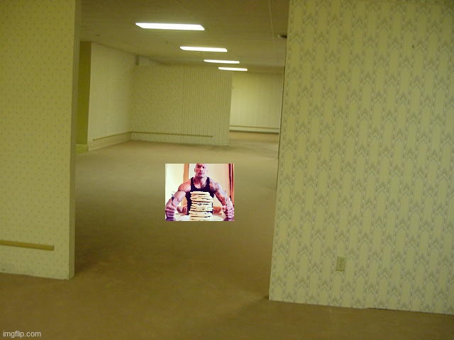 The Backrooms | image tagged in the backrooms | made w/ Imgflip meme maker