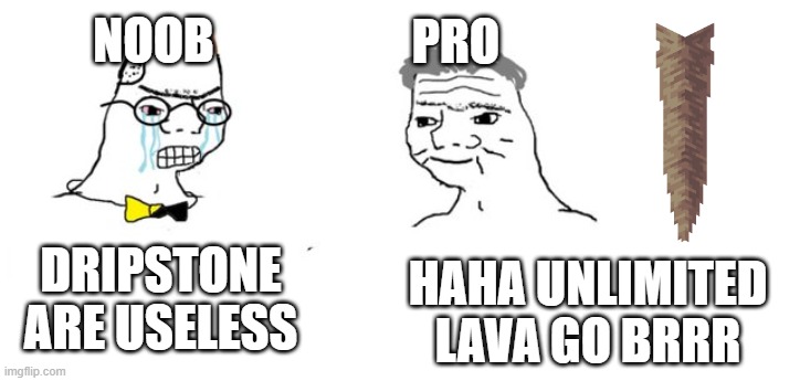 Unlimited lava | NOOB; PRO; HAHA UNLIMITED LAVA GO BRRR; DRIPSTONE ARE USELESS | image tagged in memes,meme | made w/ Imgflip meme maker