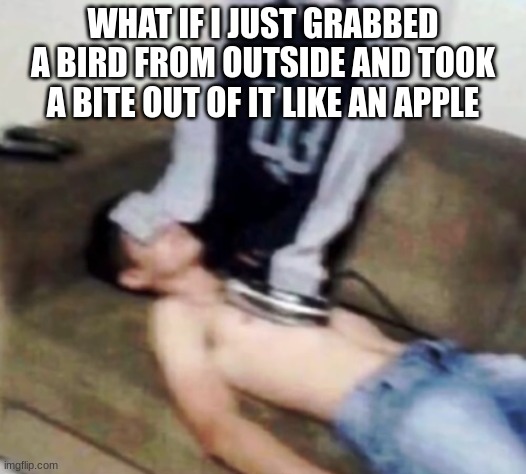 shirt ironing a man | WHAT IF I JUST GRABBED A BIRD FROM OUTSIDE AND TOOK A BITE OUT OF IT LIKE AN APPLE | image tagged in shirt ironing a man | made w/ Imgflip meme maker