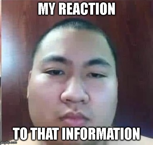 MY REACTION; TO THAT INFORMATION | image tagged in reaction to that information | made w/ Imgflip meme maker