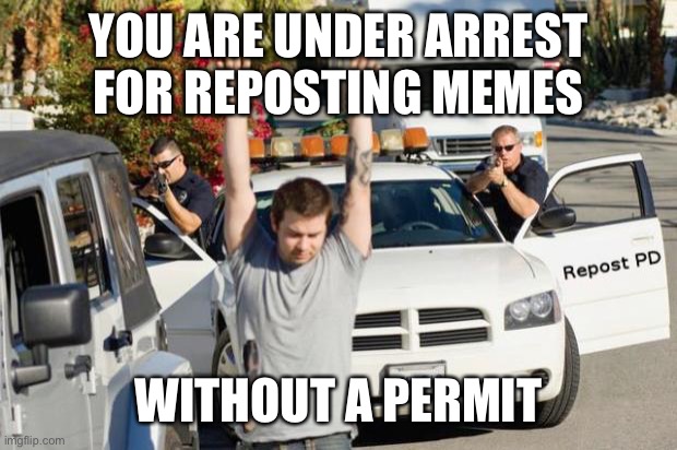 Repost Police | YOU ARE UNDER ARREST FOR REPOSTING MEMES WITHOUT A PERMIT | image tagged in repost police | made w/ Imgflip meme maker