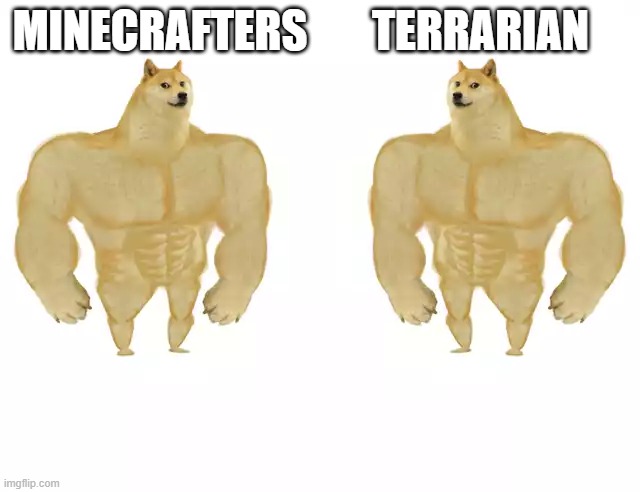 idk what to add the caption | MINECRAFTERS; TERRARIAN | image tagged in buff doge vs buff doge | made w/ Imgflip meme maker