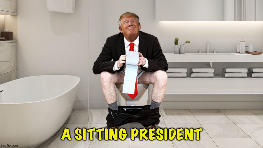 Trump Toilet | A SITTING PRESIDENT | image tagged in trump toilet | made w/ Imgflip meme maker