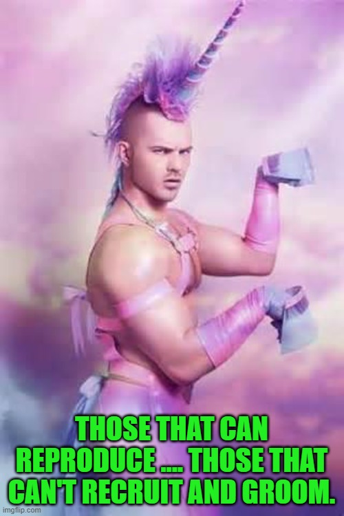 Gay Unicorn | THOSE THAT CAN REPRODUCE .... THOSE THAT CAN'T RECRUIT AND GROOM. | image tagged in gay unicorn | made w/ Imgflip meme maker