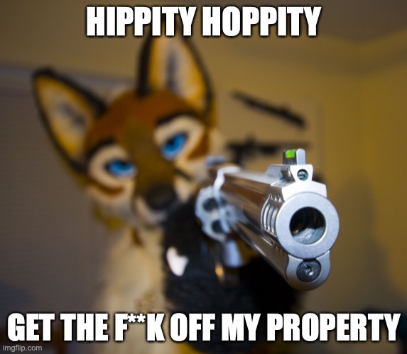 RUN. | HIPPITY HOPPITY; GET THE F**K OFF MY PROPERTY | image tagged in furry with gun,uh oh | made w/ Imgflip meme maker