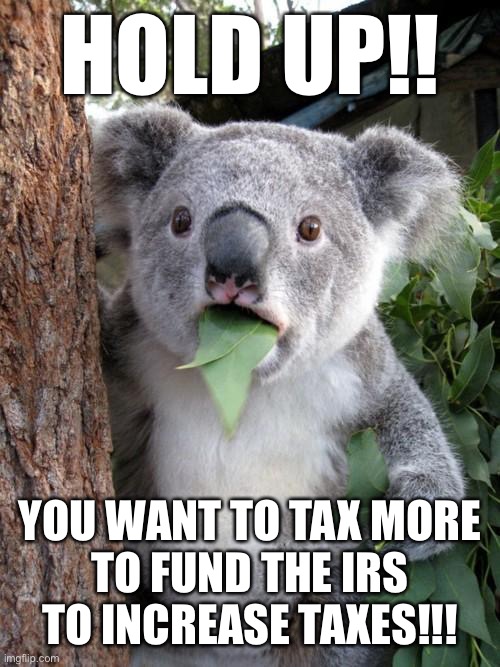 Democrats thinking | HOLD UP!! YOU WANT TO TAX MORE
TO FUND THE IRS TO INCREASE TAXES!!! | image tagged in memes,surprised koala,funny,gifs | made w/ Imgflip meme maker