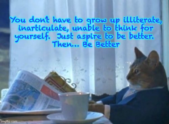 Do better |  You don’t have to grow up illiterate,
inarticulate, unable to think for
yourself.  Just aspire to be better. 
Then… Be Better | image tagged in memes,i should buy a boat cat | made w/ Imgflip meme maker