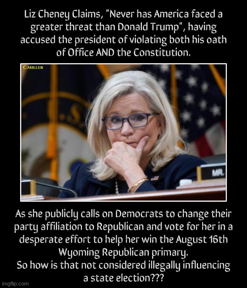President Trump represents a threat to the control of power by this uni-party establishment and they can't have that! | image tagged in liz cheney,election fraud,wyoming,politics,political | made w/ Imgflip meme maker