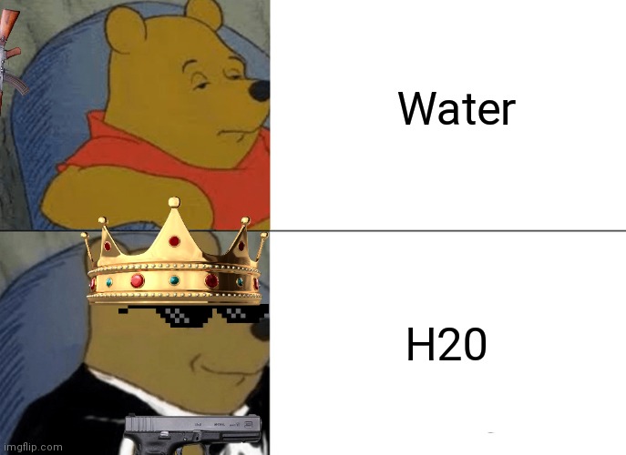 H20 GO | Water; H20 | image tagged in memes,tuxedo winnie the pooh | made w/ Imgflip meme maker