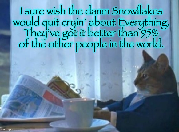 Waaaaa….  waa waa…  Waaaaaa |  I sure wish the damn Snowflakes
would quit cryin’ about Everything.
They’ve got it better than 95%
of the other people in the world. | image tagged in memes,i should buy a boat cat | made w/ Imgflip meme maker
